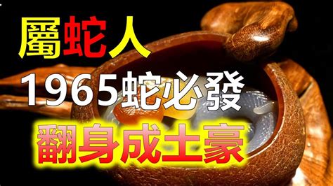 1965年屬蛇|生肖蛇: 性格，愛情，2024運勢，生肖1989，2001，2013